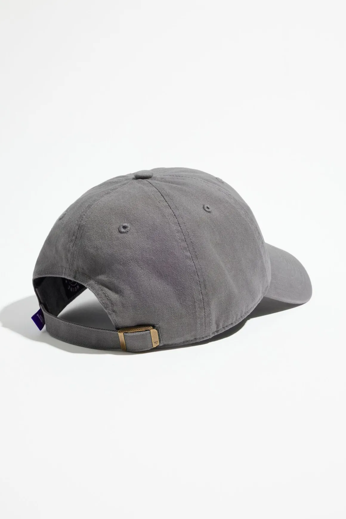 Caps & Hats-Dynamite '47 BRAND | Los Angeles Clean Up Cap Gray