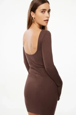 Dresses & Jumpsuits | Mini Dresses-Dynamite Open Back Long Sleeve Mini Dress Brown