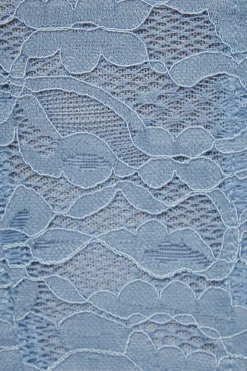 Blouses & Tops | Blouses & Tops-Dynamite Saige Lace Square Neck Corset Top Blue