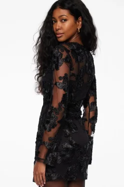 Dresses & Jumpsuits | Mini Dresses-Dynamite Sheer Floral Appliqué Mini Dress Black