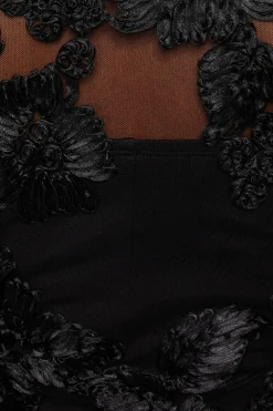 Dresses & Jumpsuits | Mini Dresses-Dynamite Sheer Floral Appliqué Mini Dress Black