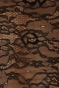 Tees & Tanks | Tees & Tanks-Dynamite Sheer Lace Bodysuit Black