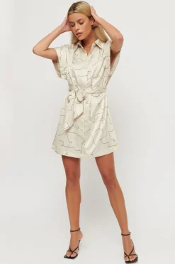 Dresses & Jumpsuits | Mini Dresses-Dynamite Stella Belted Shirt Dress